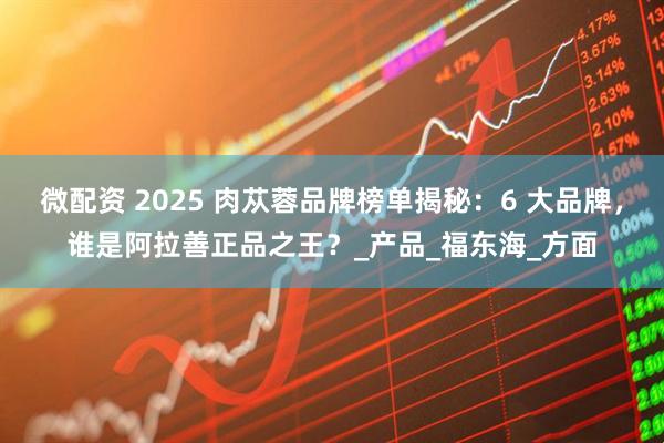 微配资 2025 肉苁蓉品牌榜单揭秘：6 大品牌，谁是阿拉善正品之王？_产品_福东海_方面
